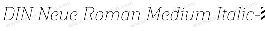 DIN Neue Roman Medium Italic字体转换